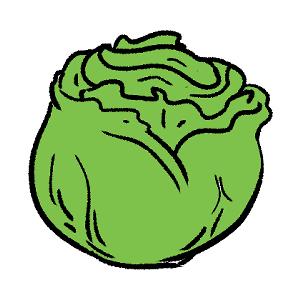 Cabbage