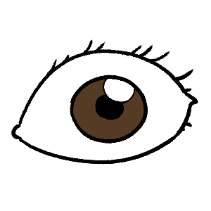 Eye